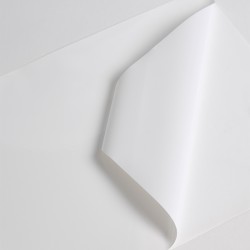 HXR101WG2 - Blanc Brillant adh renforcé permanent incolore