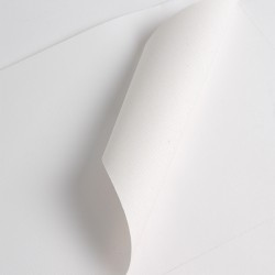 Bobine Jet encre Toile de peintre 300 g/m²