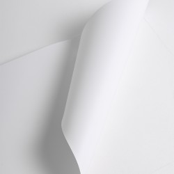 POPNC400 - Film Opaque Blanc Brillant