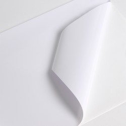 Bobine Jet encre VP 70µm Blanc BT adh inc  perm