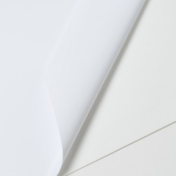 V241WM1 - Blanc Mat adh permanent incolore